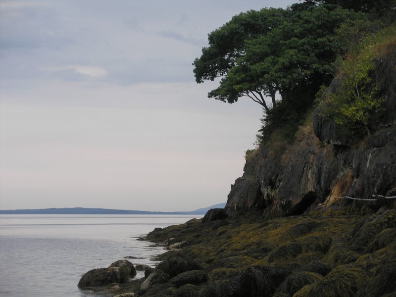 penobscotshore.jpg